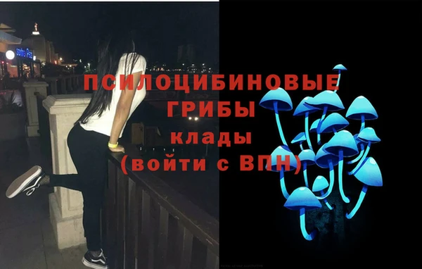 дживик Балабаново