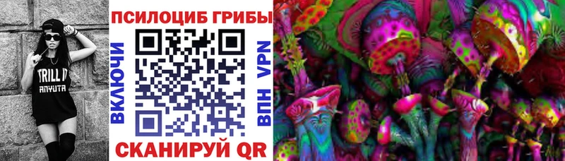 Псилоцибиновые грибы Psilocybine cubensis  Очёр 